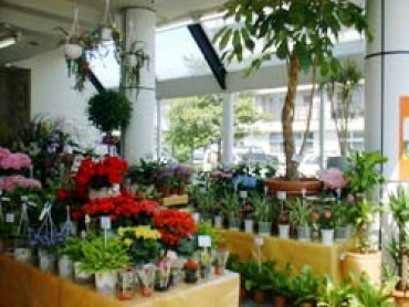 「フラワーシアター」　（福岡県福岡市早良区）の花屋店舗写真4